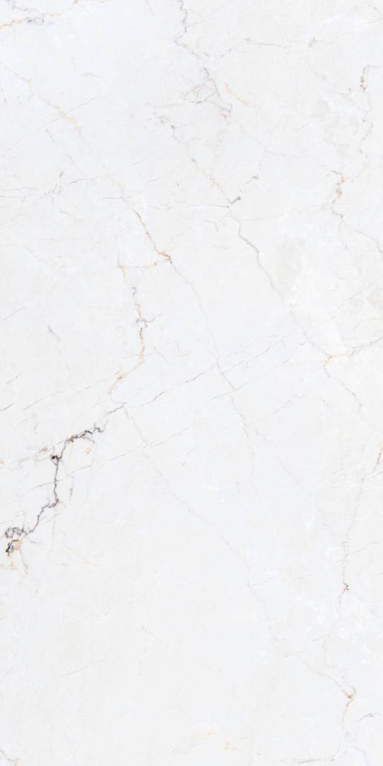 rock lerox white porcelian tile